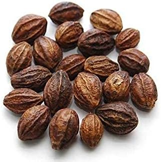 RNB Store Organics Kadukkai/Haritaki/Terminalia Chebula/Karakkaya/Harde Whole - 200 Grams