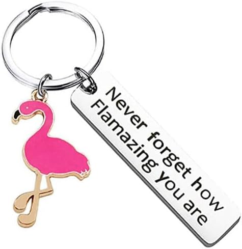 Flamingo Keyring, Inspirational Keyring You Are Amazing Keychain Gifts for Men Women Son Daughter Colleague Families,Stainless Steel Keychain for Christmas Birthday Valentine Graduation Festival Gift