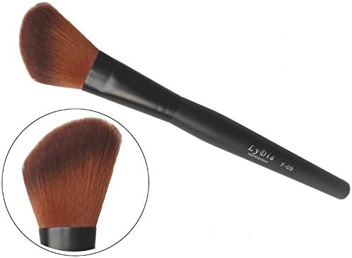 LyDia professional black angled long mineral face loose powder blusher cosmetic makeup brush F-09