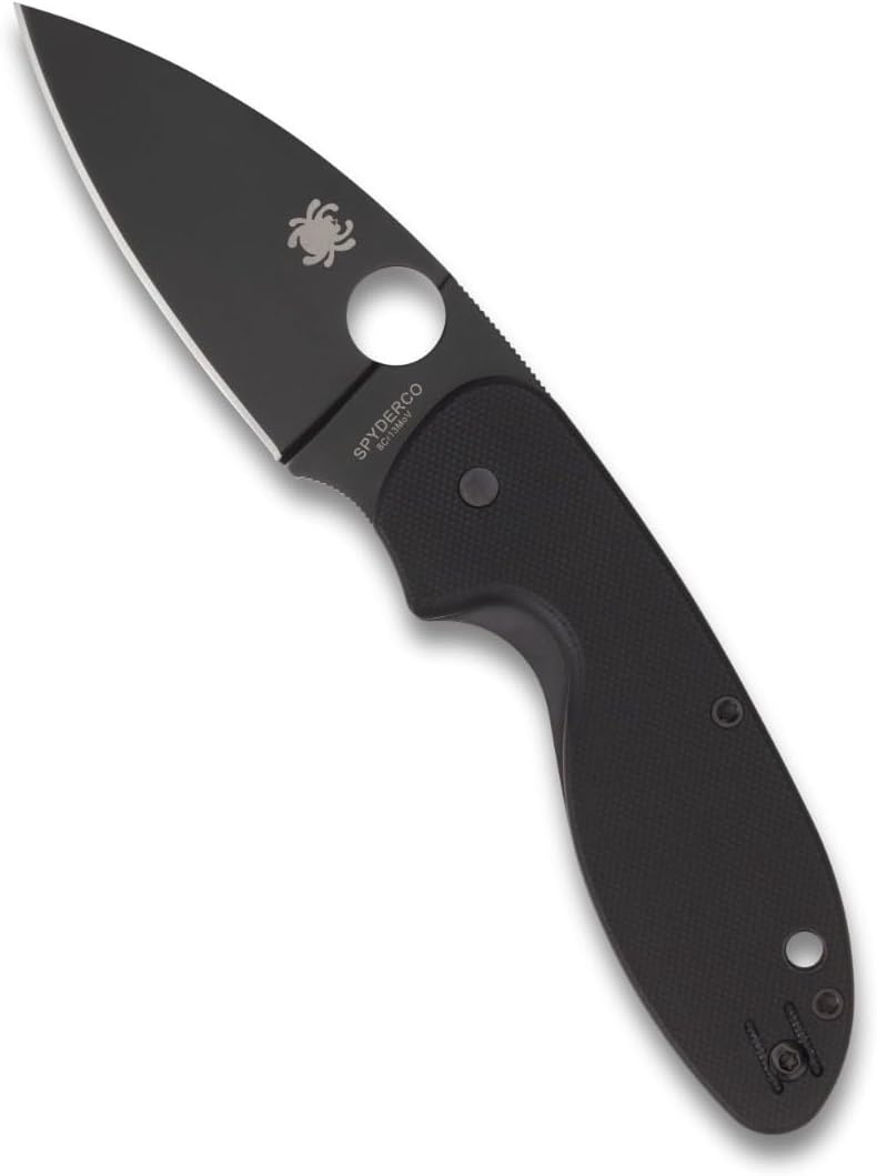 Spyderco C216GPBBK EFFICIENT Knife, Black, 10.5 cm