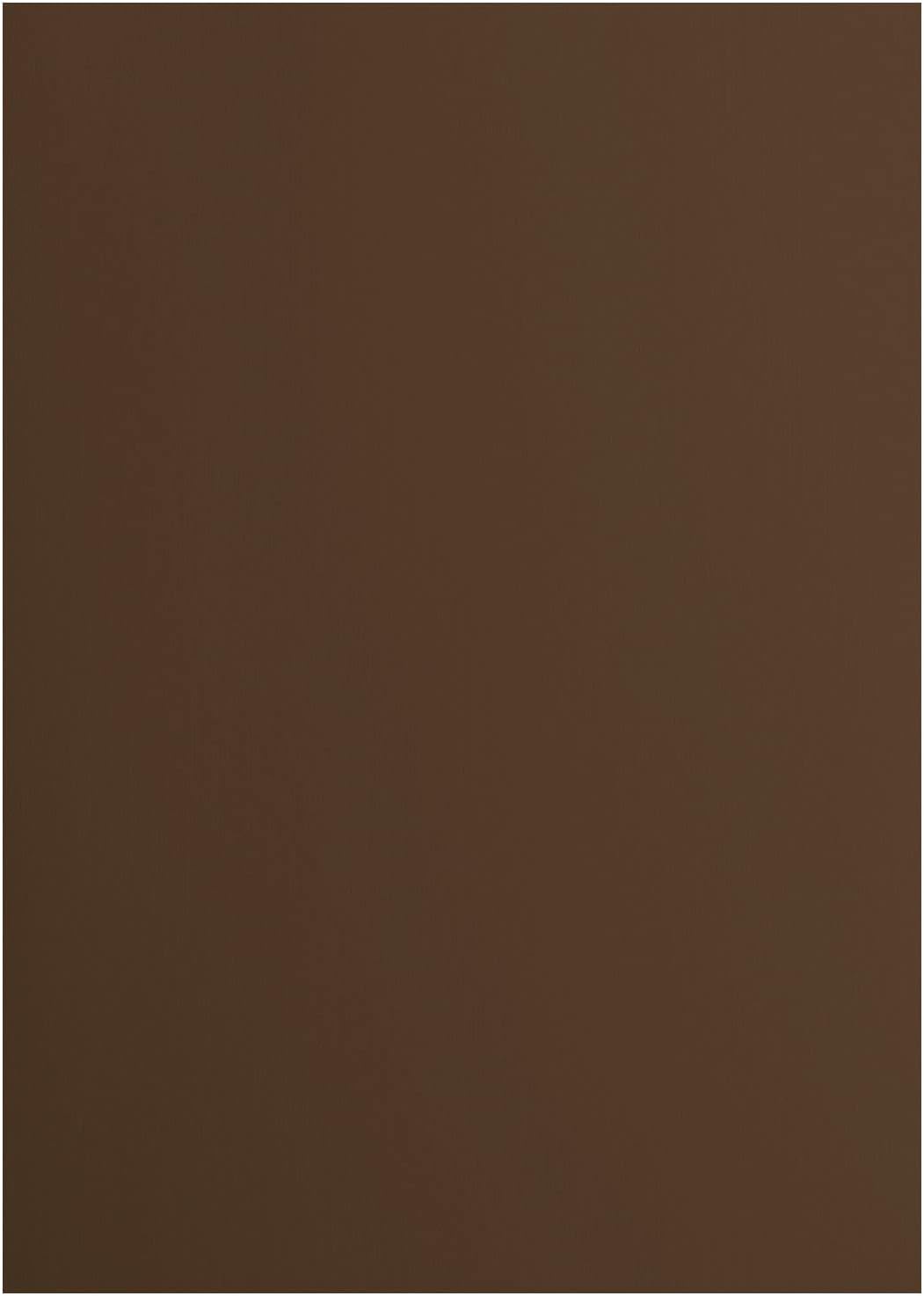 Florence Cardstock Smooth - Coloured Card Making Supplies A4 - Brown - 10 Sheets - Coloured Paper for Scrapbooking, Card Making, Die Cutting and Paper Crafts - 216 GSM - Hazelnut