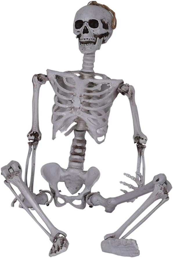 Halloween Haunted House Props 90 cm Human Skeleton Mummy, Skeleton Skeleton, Secret Room Skull Bone Decoration