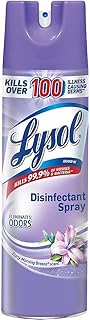 Lysol Disinfectant Spray, Sanitizing and Antibacterial Spray, For Disinfecting and Deodorizing, Early Morning Breeze, 19 Fl Oz, (Packaging May Vary)