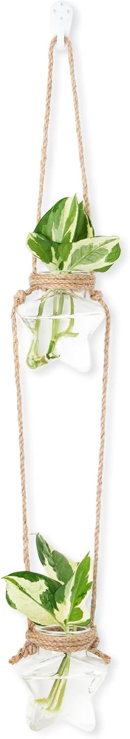 XXXFLOWER Hydroponic Wall Hanging Plant Propagation Station Set of 2 Star Glass Vases Air Plant Terrarium Gardening Gifts for Women Birthday Plant Lovers Plant Starter for Home Office Decor