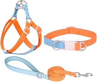 AIITLE Step in Dog Harness & Leash & Collar - Multicolor Lightweight Dog Halter Basic Collar with A 5FT Leash - for Extra Small Dogs Daily Walking and Training Orange-Blue XS