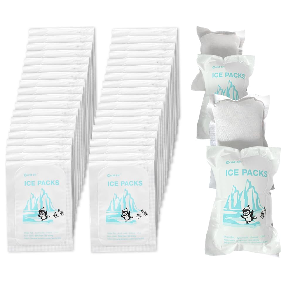 WORLD-BIO Dry Ice for Shipping Frozen Food & Travel, Long Lasting Cold Packs for Cooler 96 Packs 4.7" x 3.3", Small Freezer Packs for Shipping, Bulk Reusable Dry Ice Packs Cool Pack for Shipping