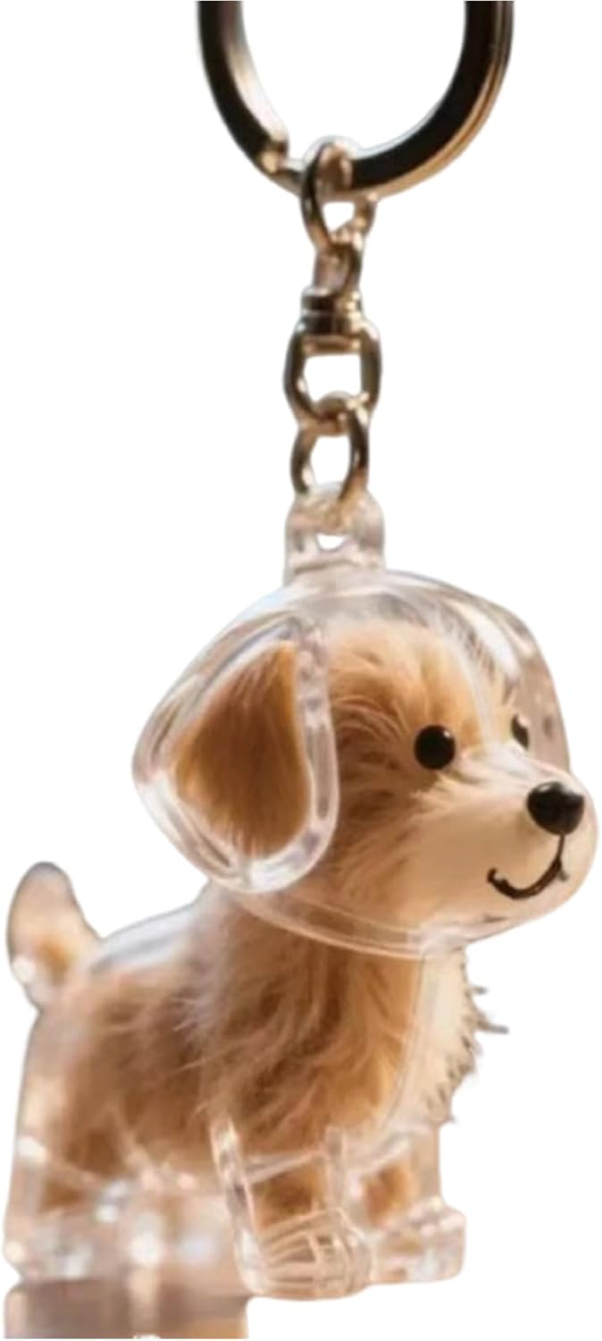 ARROMI 1pcs Dog Keyring, Pet Hair Storage Keyring, Cat Hair Keepsake, Pet Hair Souvenir Capsule Pendant, Transparent Memorial Keychain for Pet Lovers, Portable Keepsake Holder