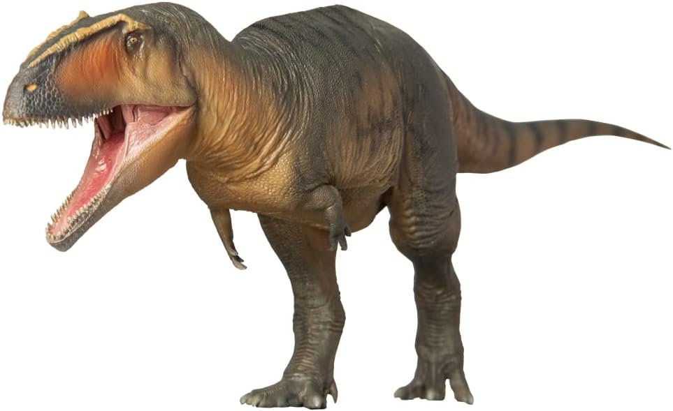 PNSO Dinosaur Museums Series:17Lucas The Giganotosaurus 1:35 Scietific Art Model