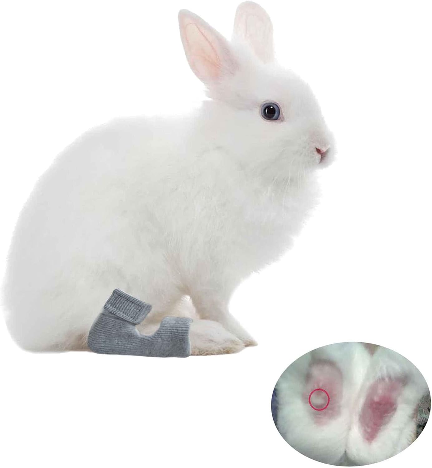 1 Pair Rabbit Socks for Sore Hocks Elbow Protective for Bunny Recovery and Relief Wound Pain