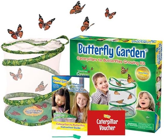 Insect Lore Butterfly Garden with Prepaid Caterpillar Voucher