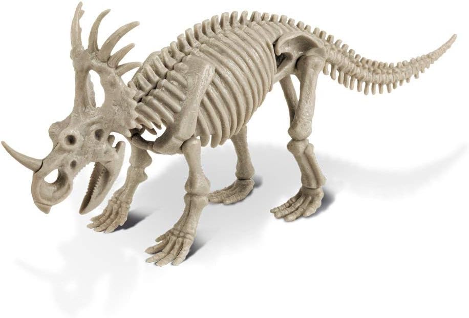 cl1669 K – Dino Excavation Kit, Styracosaurus Skeleton