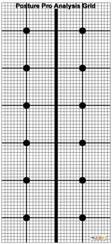 Professional Posture Grid - Full Sized