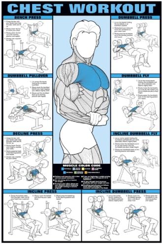 ALGRA Chest Workout 24" X 36" Laminated Chart