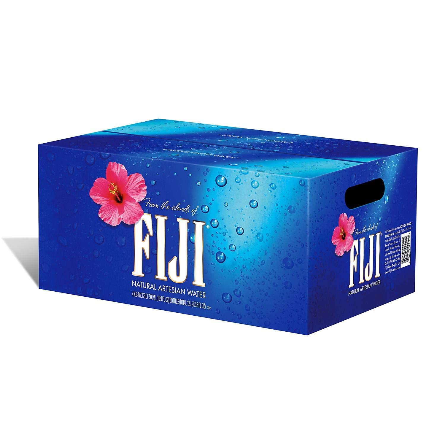 FIJI Natural Artesian Water, 16.9 Fl Oz (Pack of 24)