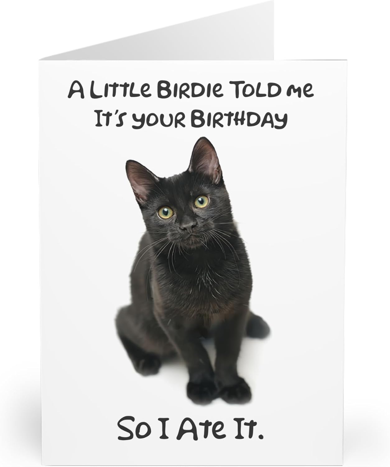 Humorous Black Cat Birthday Card - 'A Little Birdie Told Me' Joke - Perfect for Cat Lovers - Whimsical Birthday Fun - Blank Inside