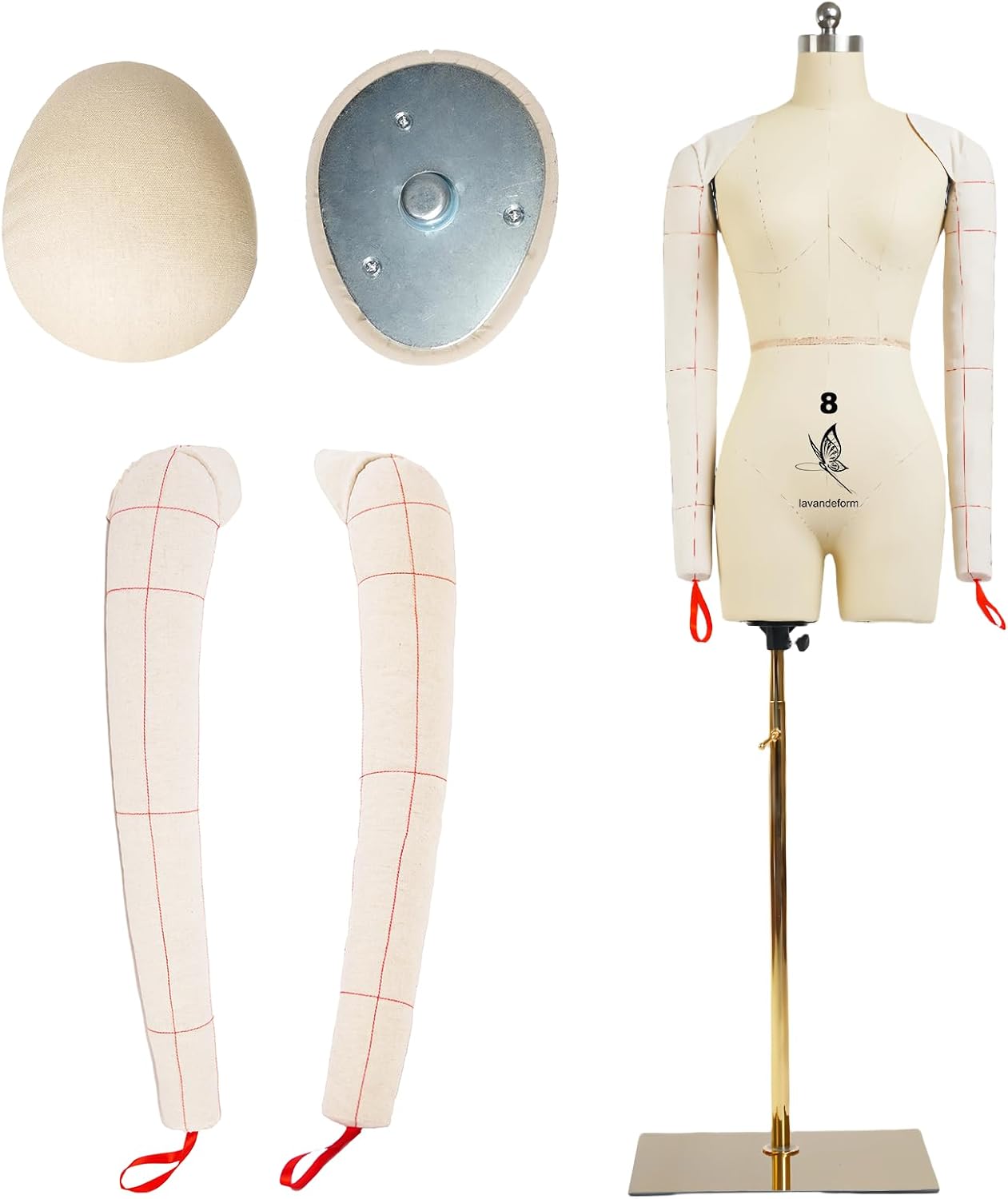 Female Dress Model Torso Body Clothing Forms,Size 8 Professional Dress Form for Tailor Design,Sewing Mannequin Foam Body for Pinning,Soft Long Sleeve Sewing Arms. (with Arms Beige, 8)