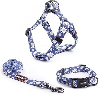 Dog Harness Collar Leash Set - No Pull Pet Adjustable Back Clip Halter Basic Collar Heavy Duty 5FT Anti-Twist Leash for Extra Small Puppy Medium Large Breed Training Running (Daisy, XS)