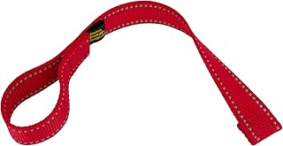 Country Brook Design - 1 Inch Winch Hook Pull Strap with Reflective Nylon - Red