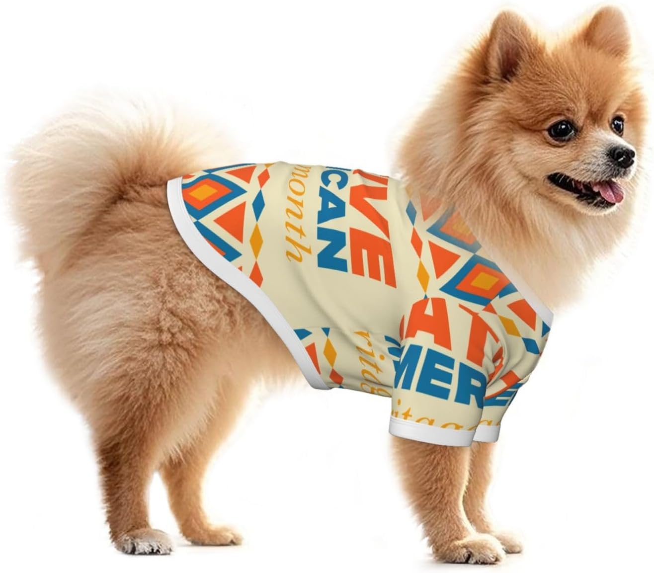 Native American Heritage Month Indigenous Pride Dog T-Shirt Cats Sweaters Sweatshirts Pet Costum Small Medium Dogs Cats Large