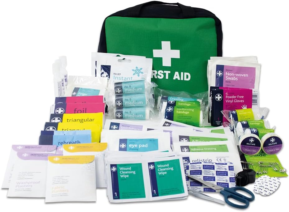 Lewis-Plast First Aid Kit Bag - 309 Piece Survival Kits - Safety Essentials for Travel Car Home Camping Work Hiking,Green