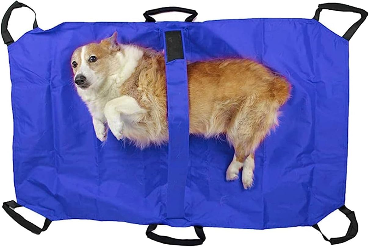 Ceiling lamp,Business, Industry & Science Occupational Health & Safety Products Emergency Response Equipment Stretchers (Blue)