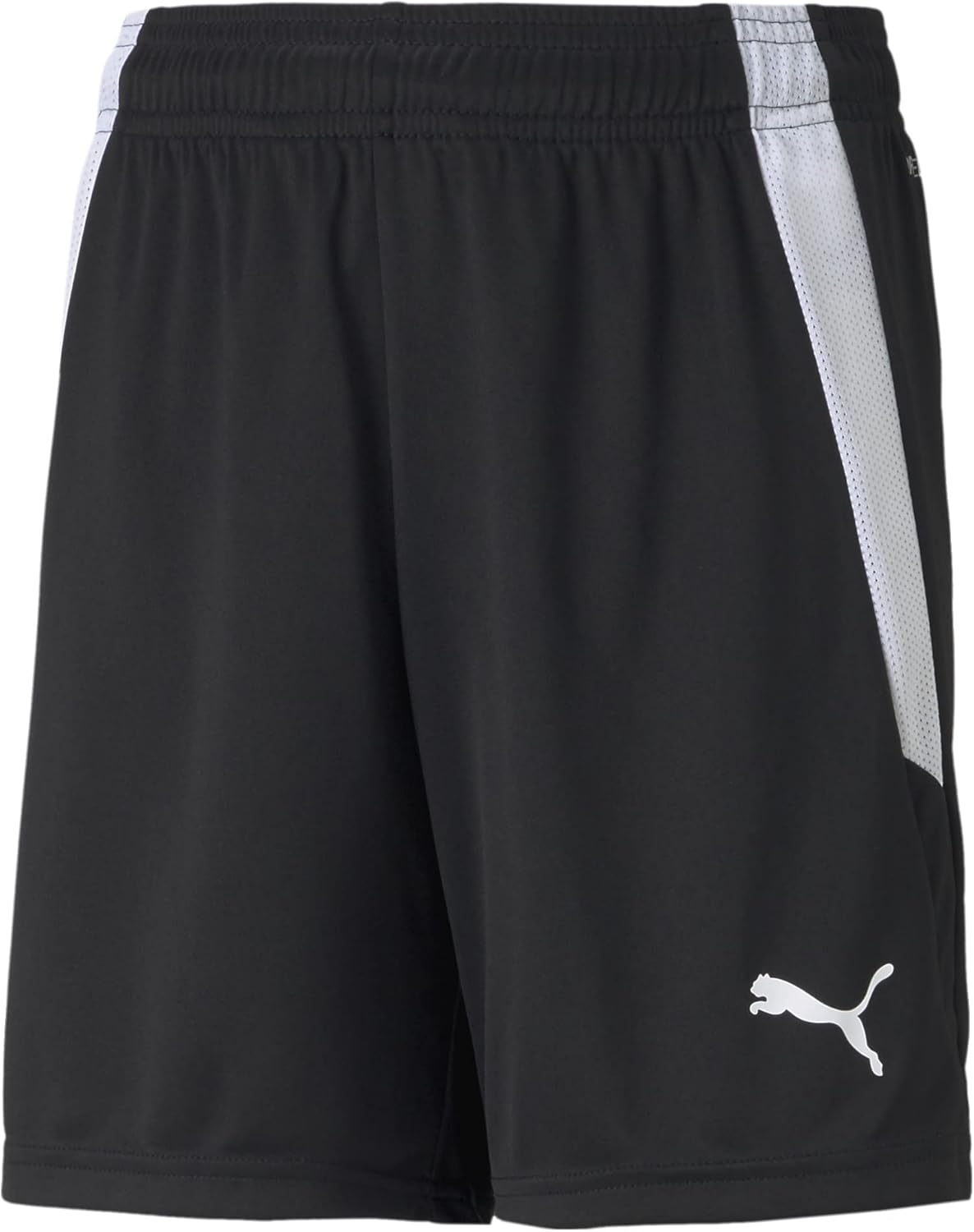 PUMA Unisex Kids Teamliga Shorts Jr Shorts
