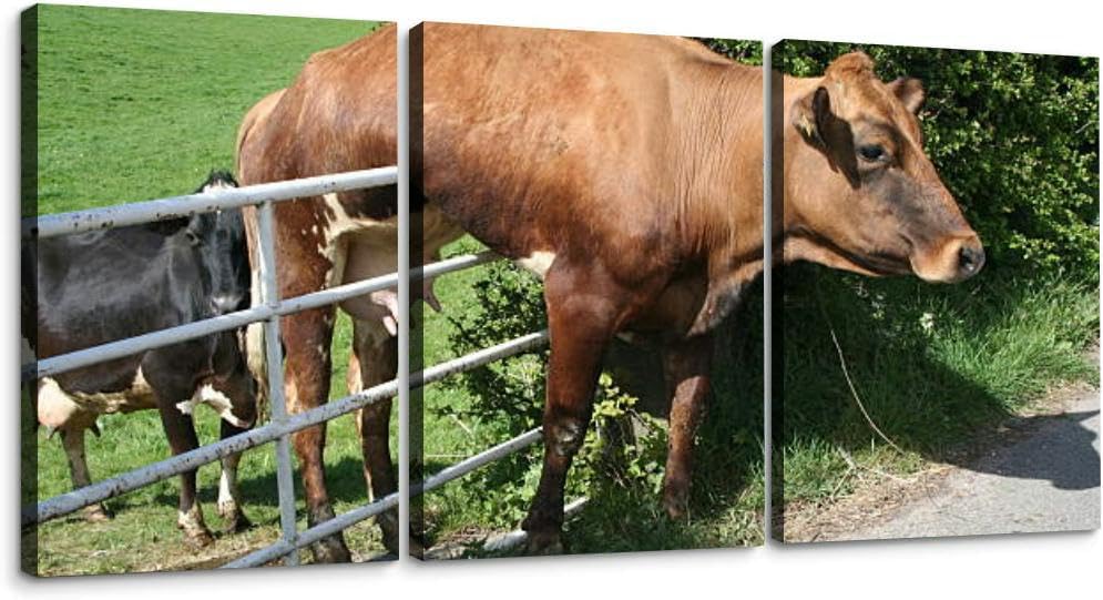 Cow and Gate 3 Piece Canvas Wall Art for Living Room Bedroom Office Framed Prints Pictures Painting Wall Decor Artwork for Walls Set of 3