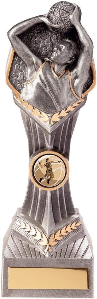 Trophy Superstore Falcon Basketball Trophy - Free Engraving - 220mm G-60x25