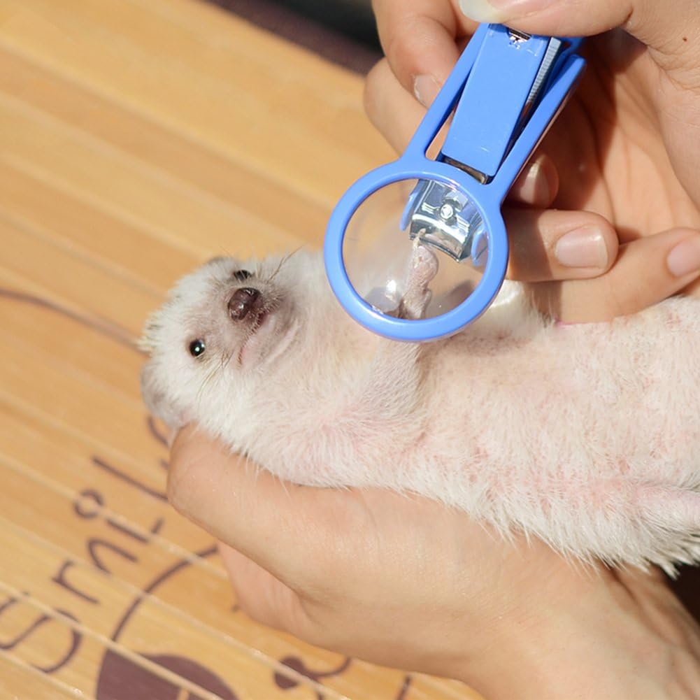Pet Hamster Hedgehog Nail Clipper Trimmer Small Animal Toenail Clippers with Magnifier (Random Color)