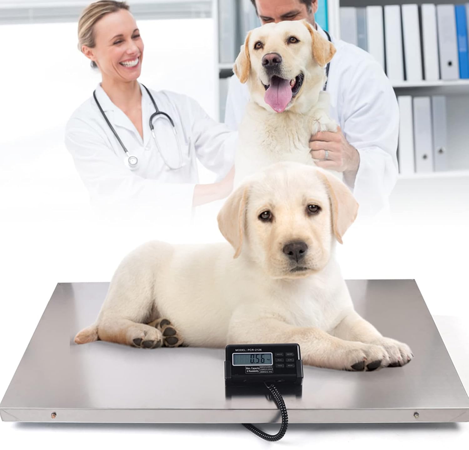 CAULO Digital Livestock Scale 440Lbs,Digital Pet Scale,Stainless Steel Industrial Floor Scale Postal, Shipping Scale,Pig Scale,Dog Weight Scale