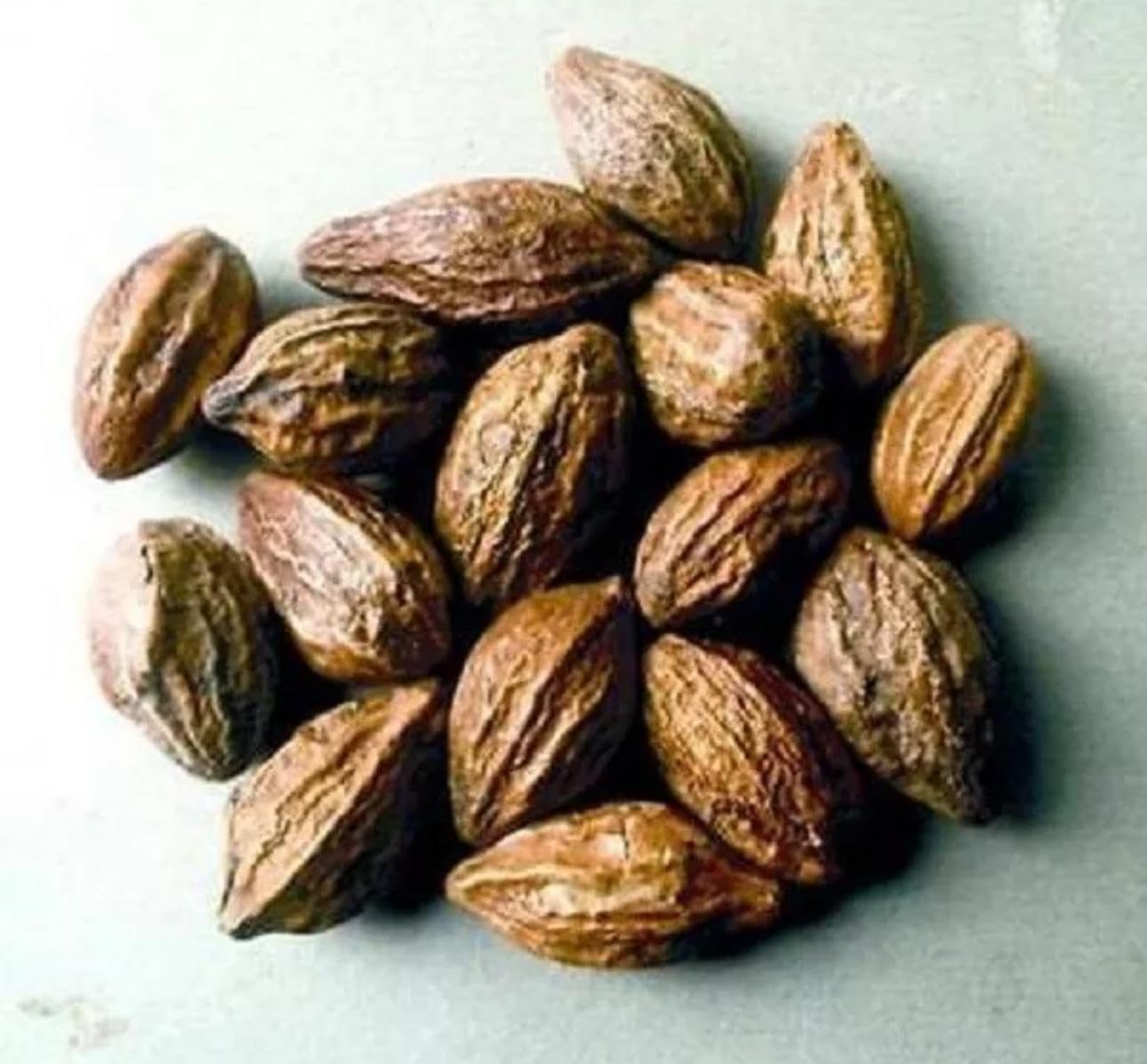 Whole Harde Terminalia Chebula/Haritaki/Black Myrobalan Free UK P&P (50g)