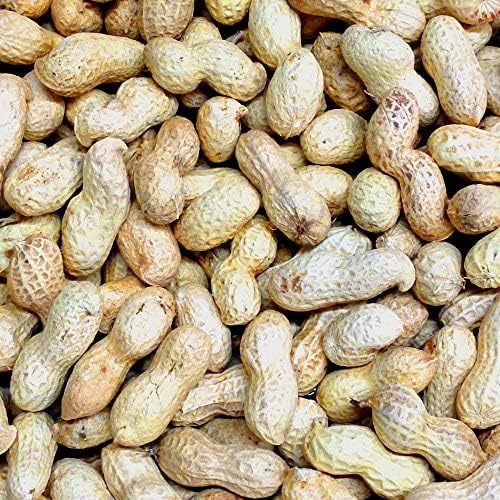 Two Amigos Pet Supplies, 10kg Monkey Nuts in Shell, Premium Safe Wild Bird Food, Aflatoxin Free 10kg
