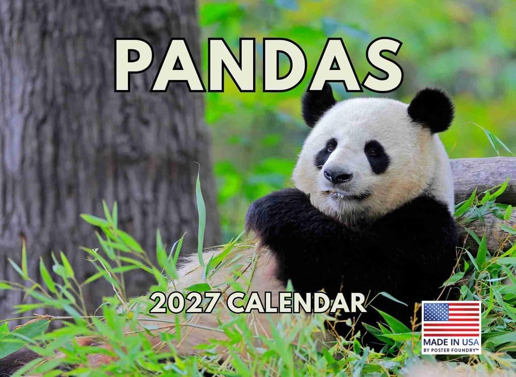 Panda Calendar 2027 Monthly Wall Calender 12 Month