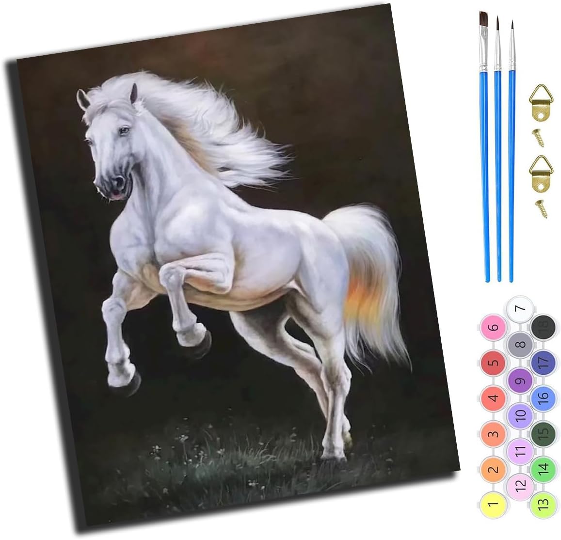 XIAOYOUQIAN White Horse Leaps,Paint by Numbers for Adults,DIY Paint by Numbers for Kids Beginner,Oil Painting for Wall Art,20X16Inch，-Frameless