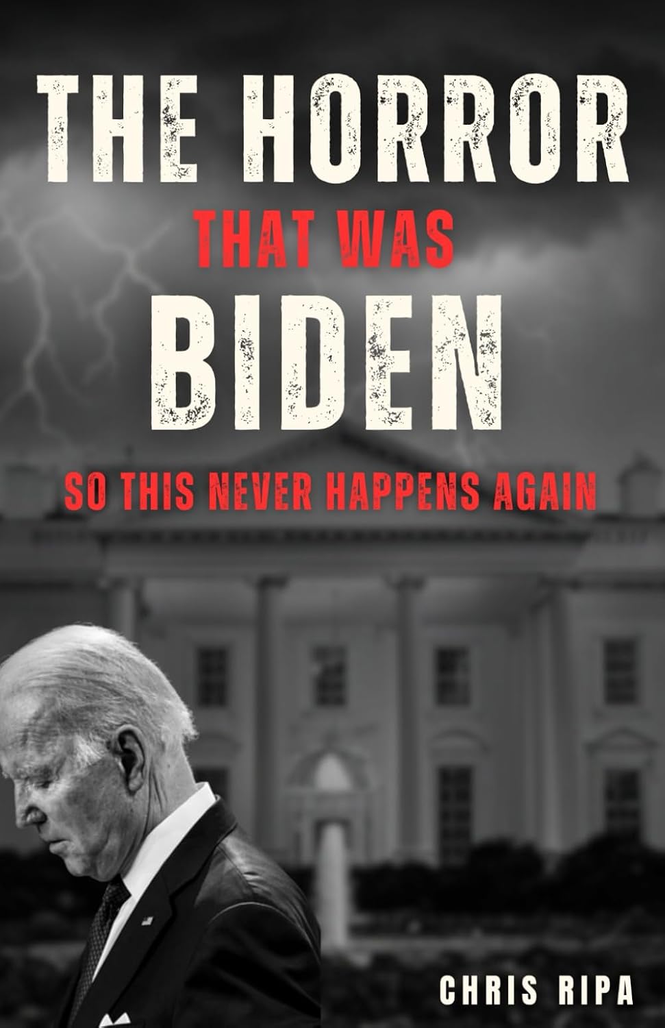 The Horror That Was Biden: So This Never Happens Again
