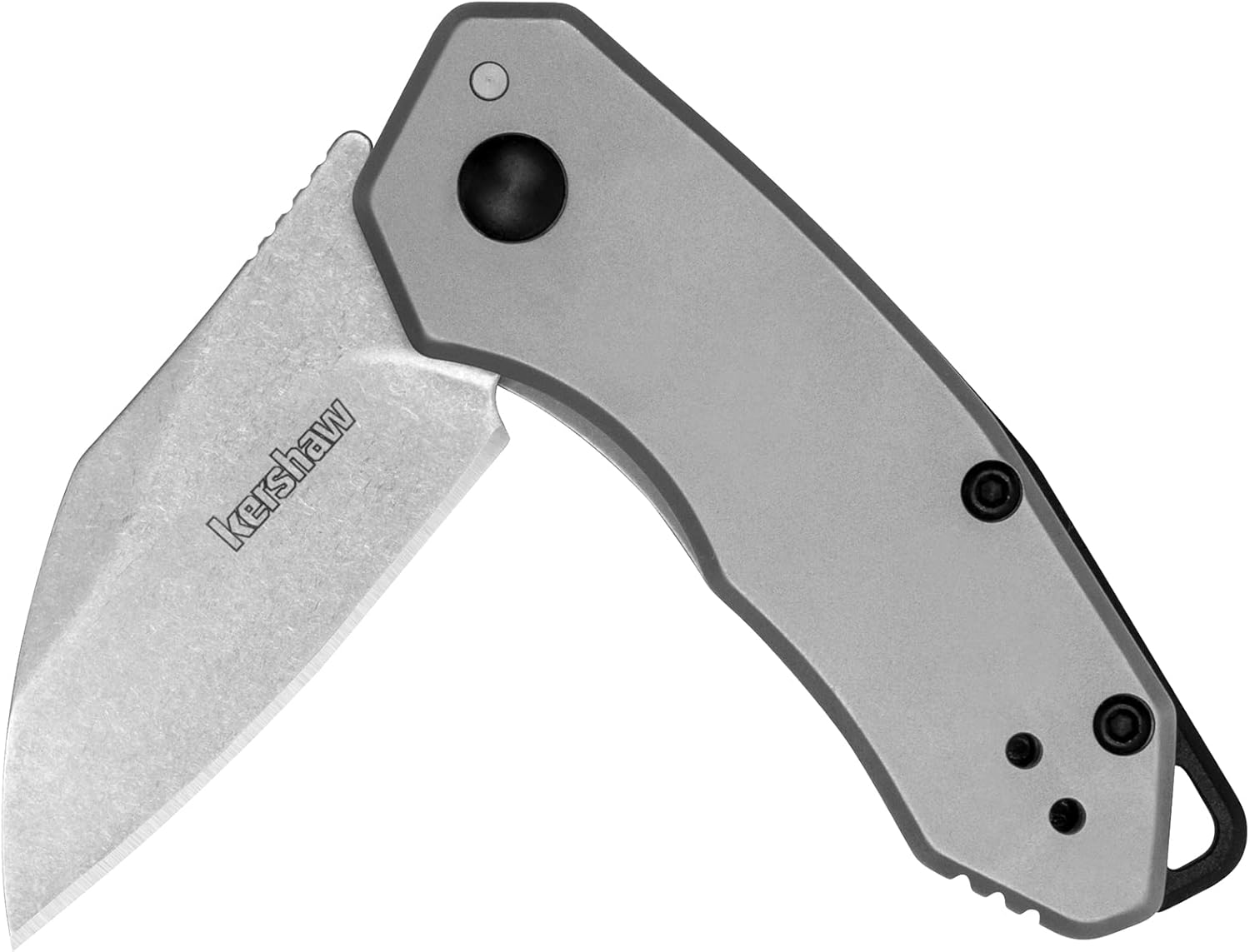 Kershaw Rate Folding Pocket Knife, Small Everyday Carry Knife with Assisted Opening, 8Cr13MoV Stainless Steel Blade, Pocketclip and Lanyard Hole,Grey