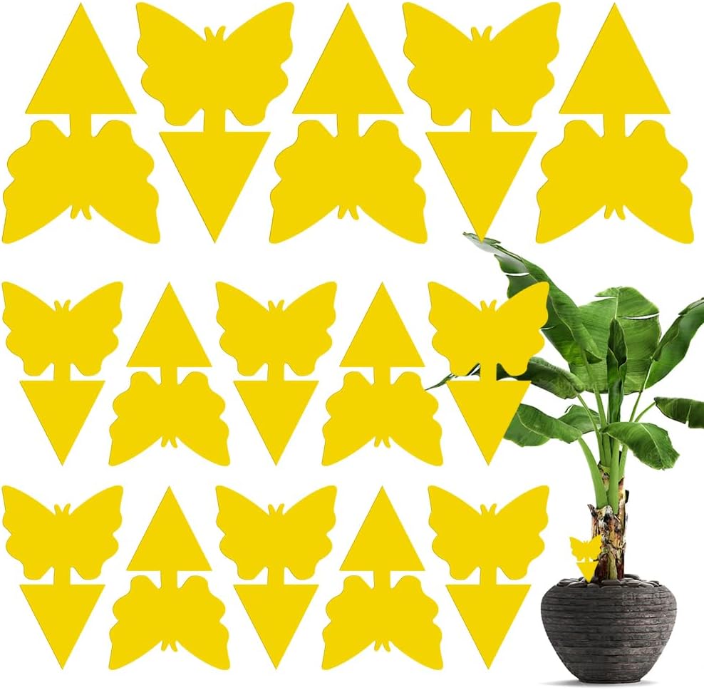 lohey 15 Pack Fruit Trap, Yellow Fly Catcher Fungus Gnat Killer, Double-Sided Sticky Fly Trap for Houseplant Indoor and Outdoor Plants