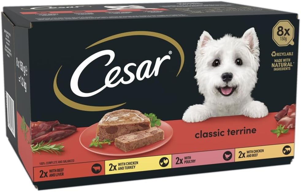 Cesar ClassicTerrine Dog Food Wet - Mixed Selection in Jelly, 8x150g (Pack of 3)