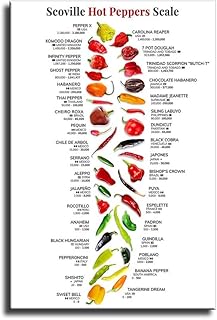 Scovill Hot Peppers Scale , Chilli Capsicum Knowledge Posters Nature Plant Gourmet Botanical Guide Kitchin Fresh Gift Living Room Prints Bedroom Decor (16x24inch-No Frame)