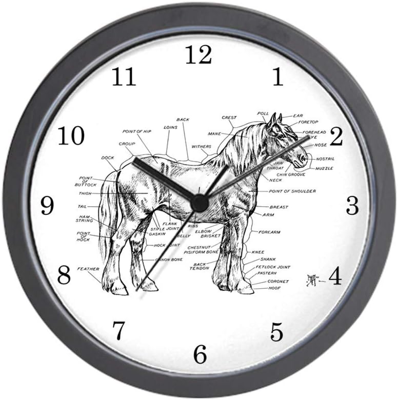 CafePress Horse Anatomy 10" Wall Clock for Livingroom, Kitchen, or Office