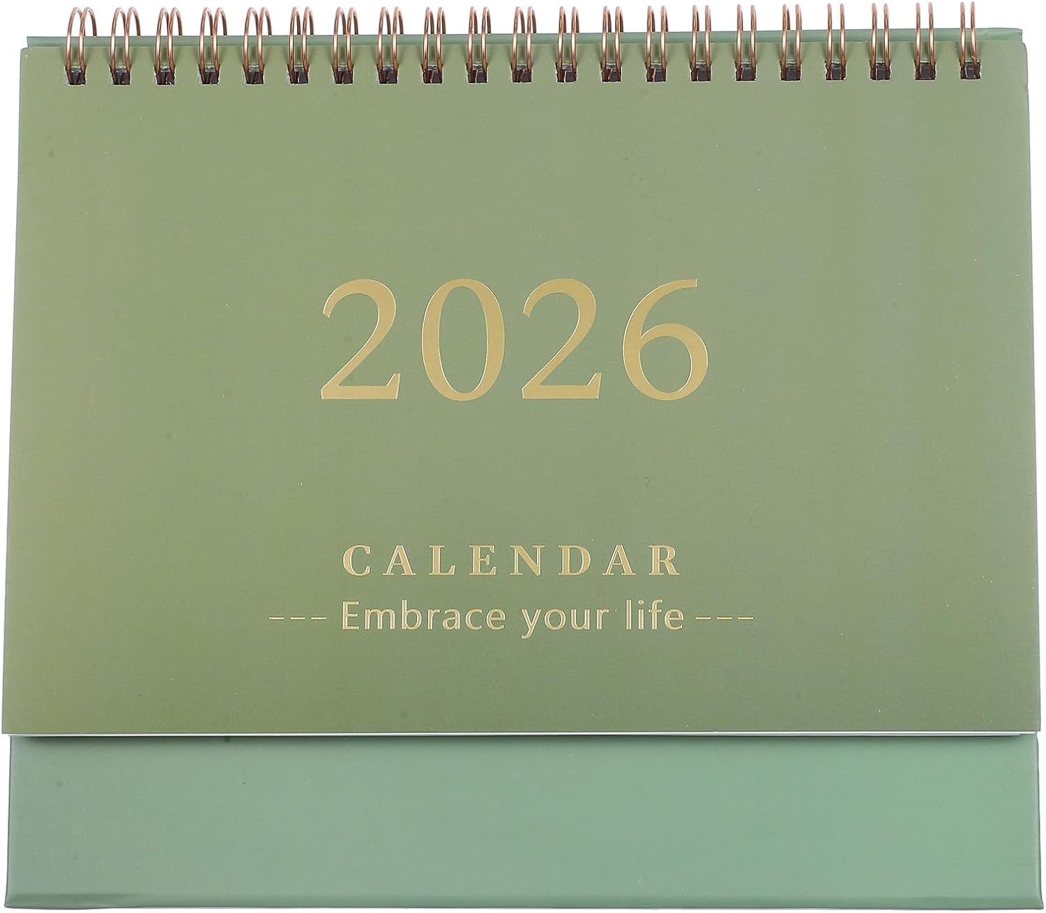 STOBOK 2026 Desk Calendar 2025.07-2026.12 Desktop Calendar 18 Monthly Daily Planner Calendar for Office and Home Use, 19.00X16.50X8.00 cm - Green