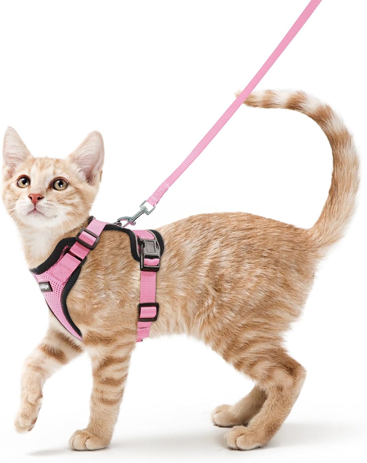 rabbitgoo Cat Harness and Leash Set, Escape Proof Vest, Pink