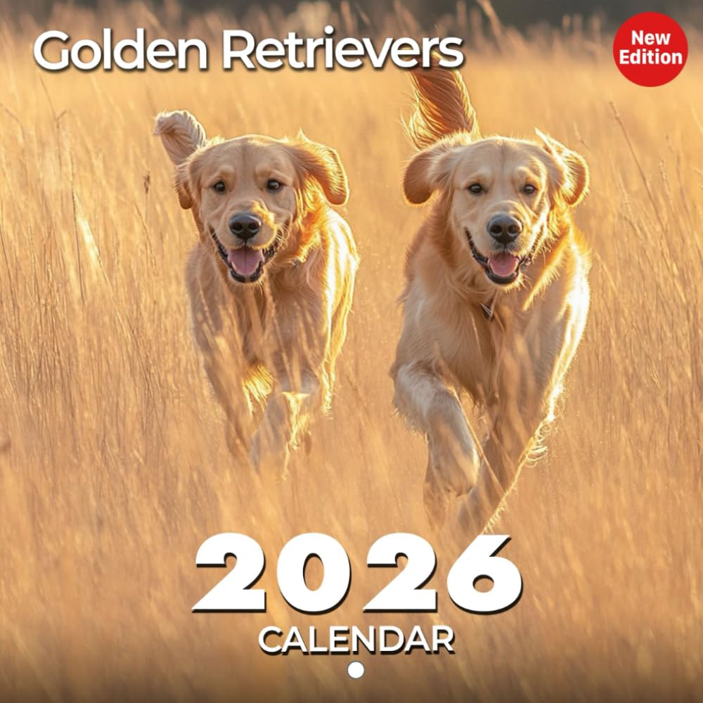 Golden Retrievers Calendar 2026: Loyal Friends Captured in Everyday Life | Kalender Calendario Calendrier