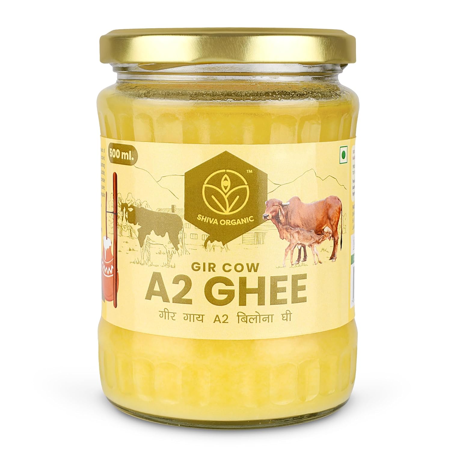 Shiva Organic Desi Gir Cow A2 Ghee | Bilona Method | Organic Grass-Fed | Pure Desi Ghee 16.9 Fl.Oz (500ml)