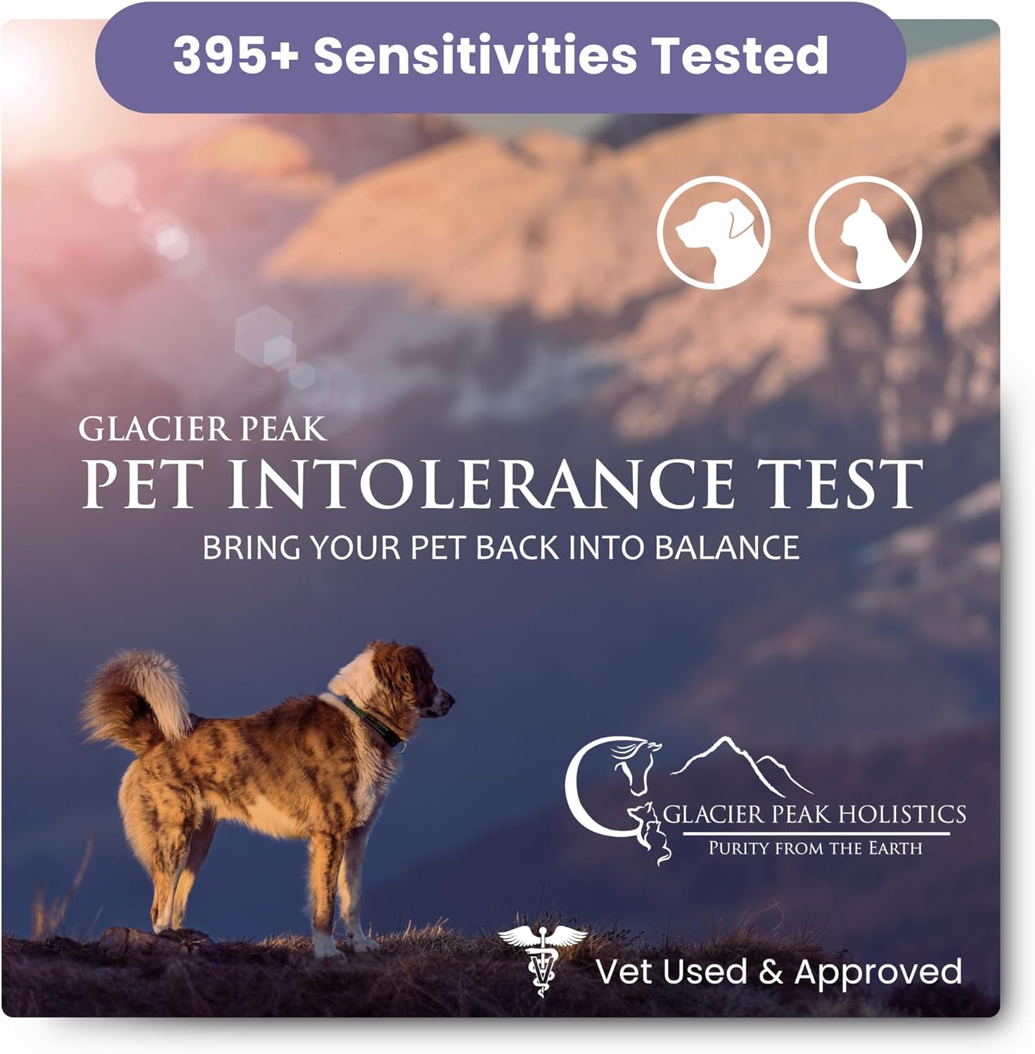 Glacier Peak Holistics, The Original Pet Intolerance Test - Screen for 395+ Food and Environmental Stressors, A Hair and Saliva Kit for Cat and Dog Sensitivities (Results in 7-10 Business Days)