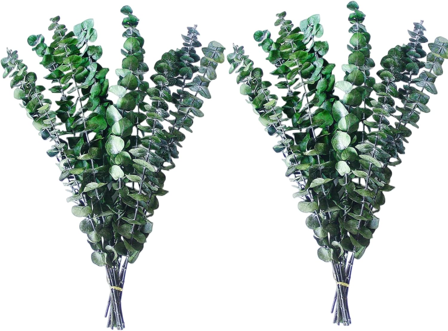 Dried Eucalyptus for Shower, 17/'' Natural Fresh Green Plant, Real Leaves Branches, Stems Flower Arrangement, Green Bathroom Decor, Home Decor (20 Pieces) (2Y)