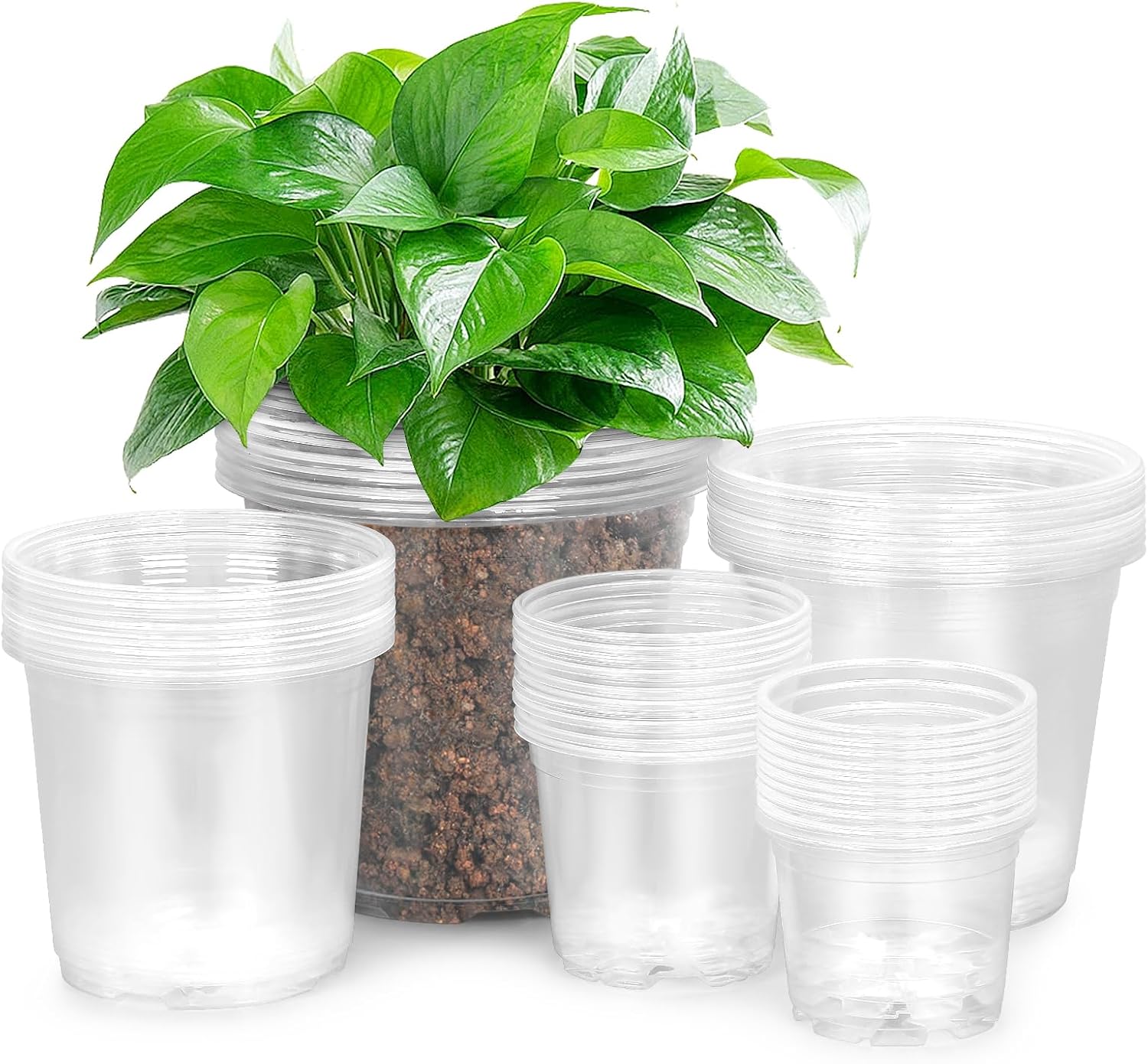 50 Pack 3/4/5/6/7 Inch Clear Plastic Nursery Pots for Succulents, Herbs, Flowers, Vegetable Seedlings, Durable Nursery Pots for Plants with Drainage Holes
