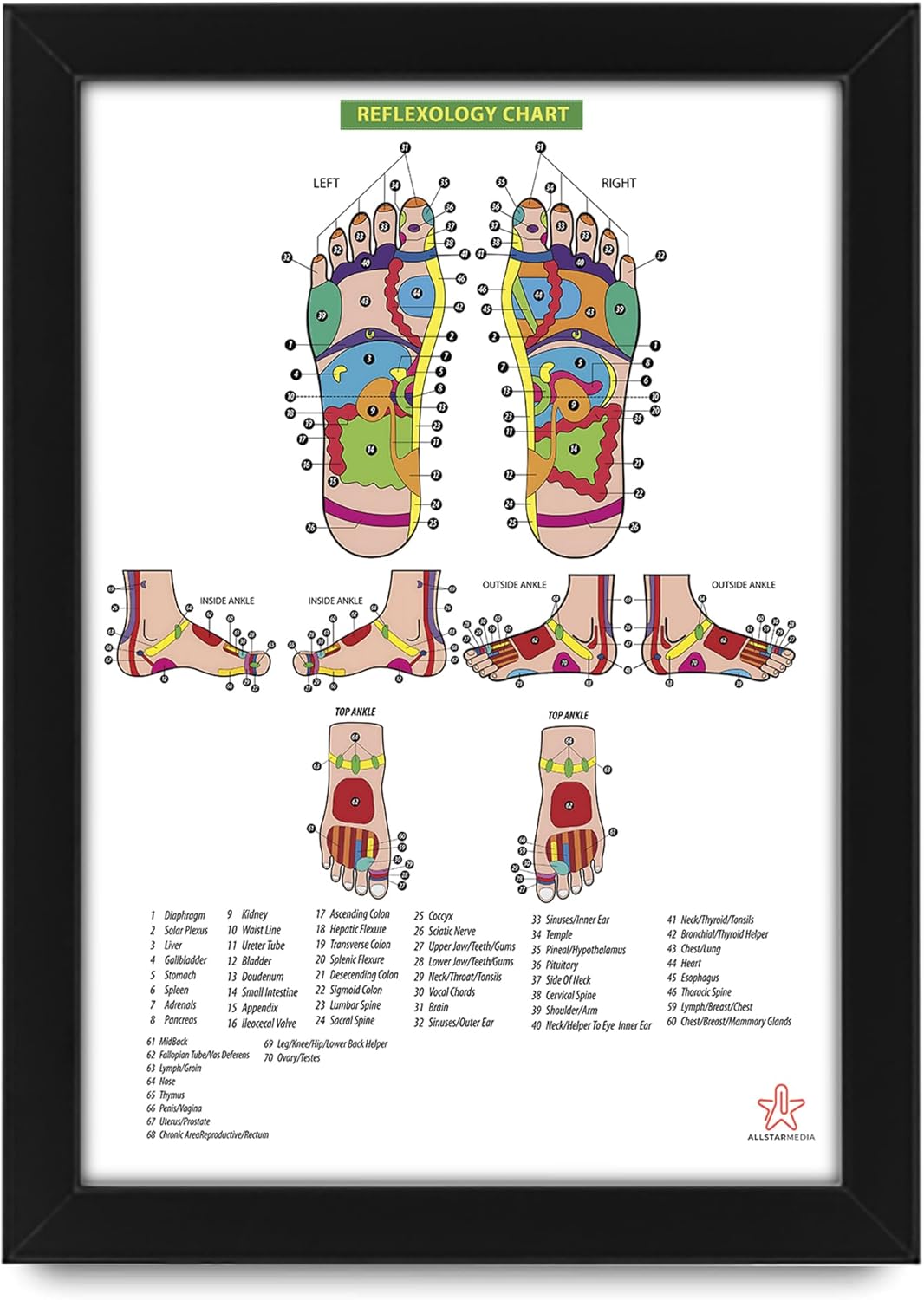 AllStarMedia Foot Reflexology Human Anatomy Poster | Anatomical Posters Educational Charts for Students and Medical Professionals, Wall Art (Unframed A3 (30x40cm))