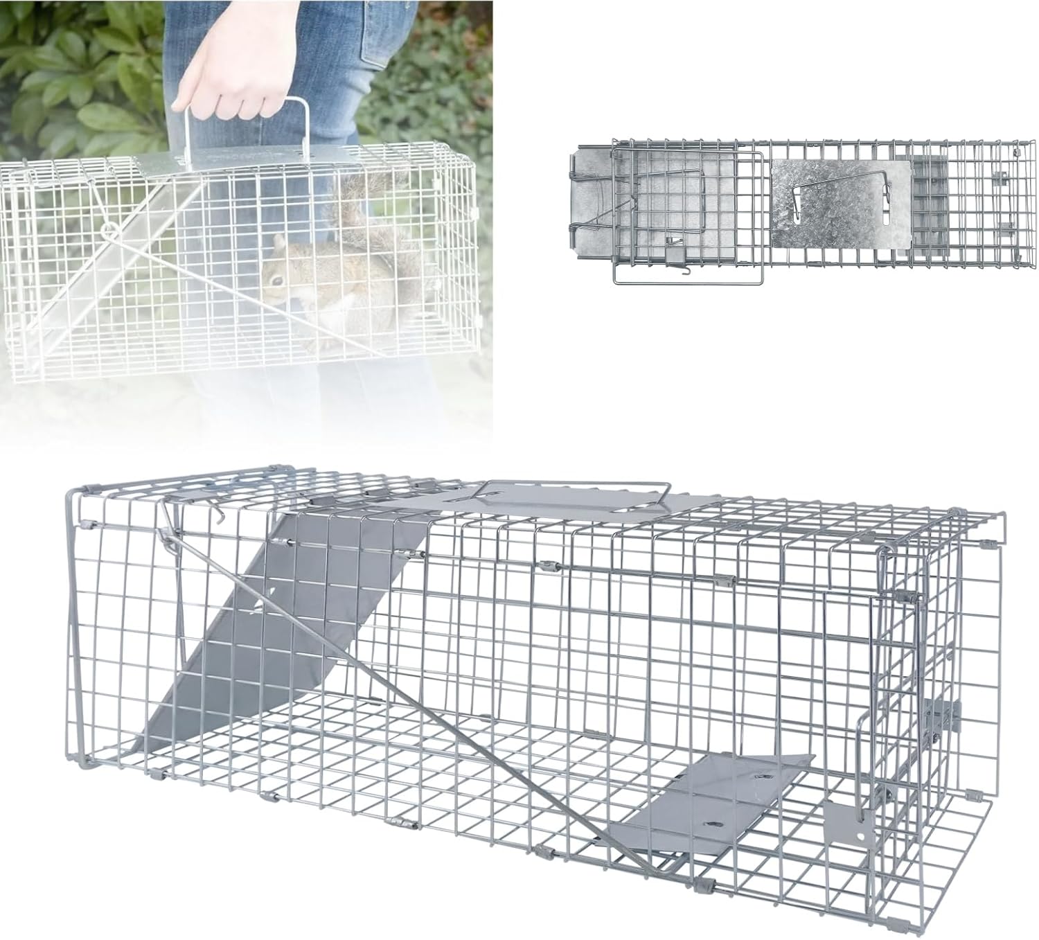Live Animal Cage Trap Humane - Folding Design with Handle for Rabbits, Stray Cats, Squirrels, Mouse- Safe Rodent Control for Indoor/Outdoor Use, 62x19x22cm