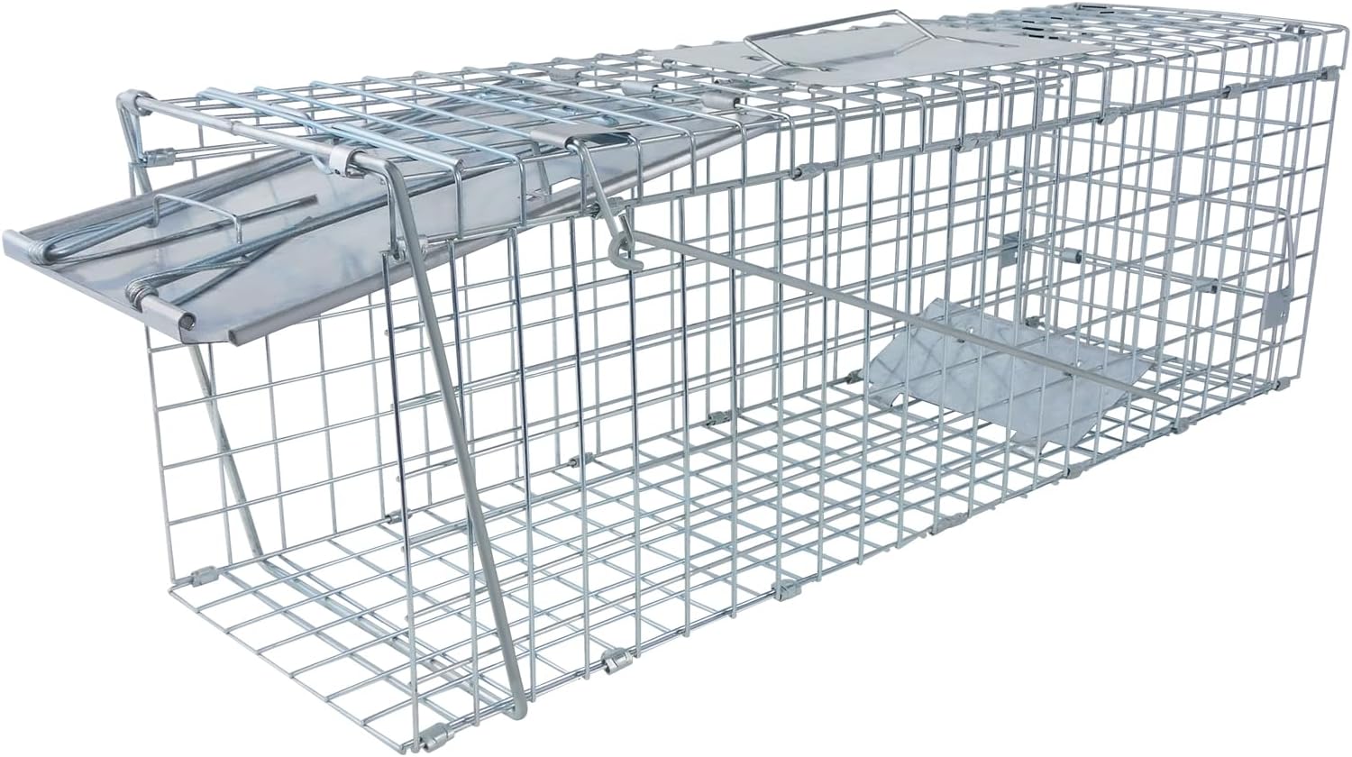 Large Humane Live Animal Trap - Heavy Duty Cage for Raccoons, Squirrel, Rabbits & Stray Cats - Foldable Rodent Control with Secure Handle - Reusable Squirrel Catcher, 62x19x22cm